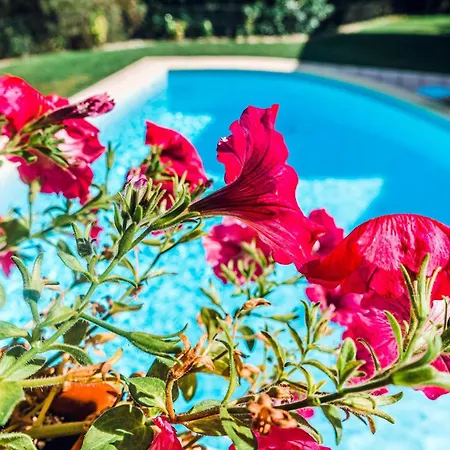 Estalagem Bela Vista מונדים דה בסטו