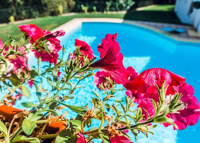 Estalagem Bela Vista 몬딤데바스토